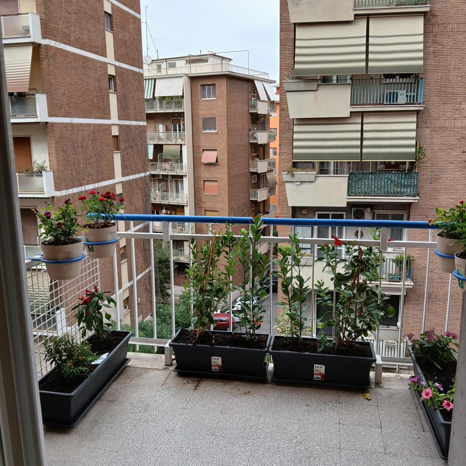 Grand Nomentana Roma Appartement Buitenkant foto